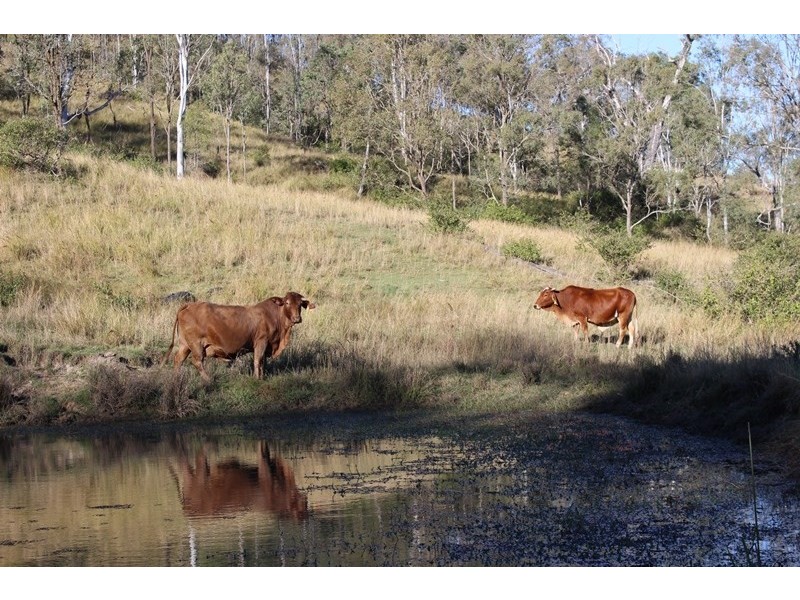 Lot 3 Brisbane Valley Highway, Toogoolawah QLD 4313