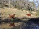 Lot 3 Brisbane Valley Highway, Toogoolawah QLD 4313