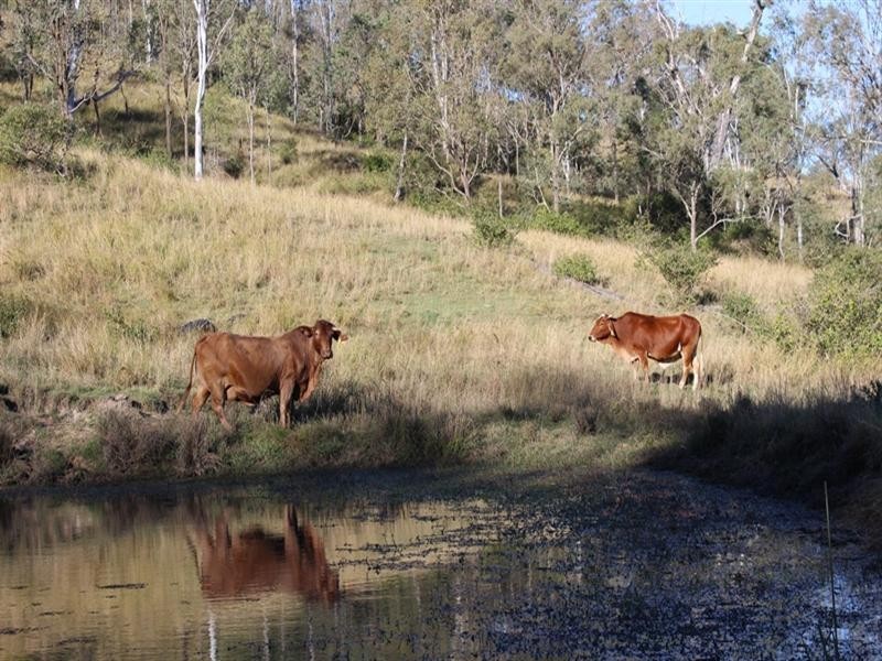 Lot 3 Brisbane Valley Highway, Toogoolawah QLD 4313