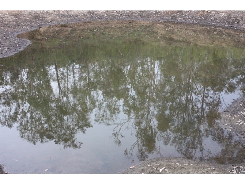 98 Bunyah Way, Blackbutt QLD 4306