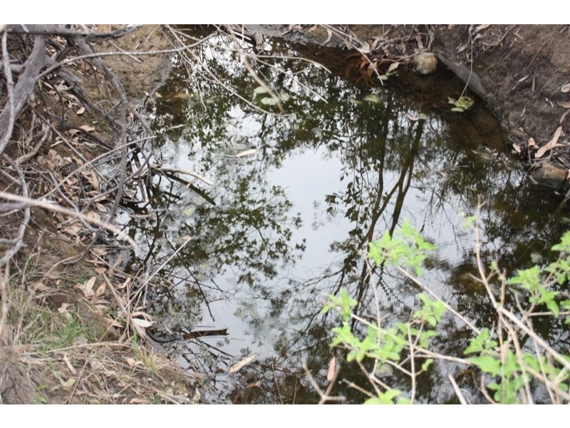 98 Bunyah Way, Blackbutt QLD 4306