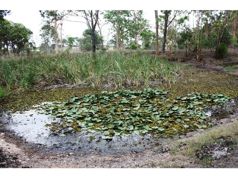 1138 Old Esk Road, Blackbutt QLD 4306