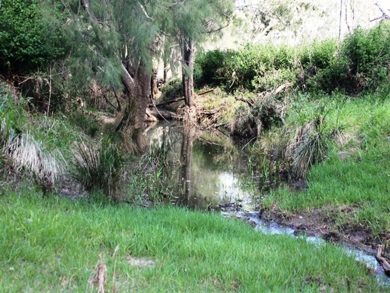 Lot 57 Stock Route Road, Emu Creek QLD 4355