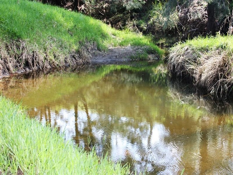 Lot 57 Stock Route Road, Emu Creek QLD 4355