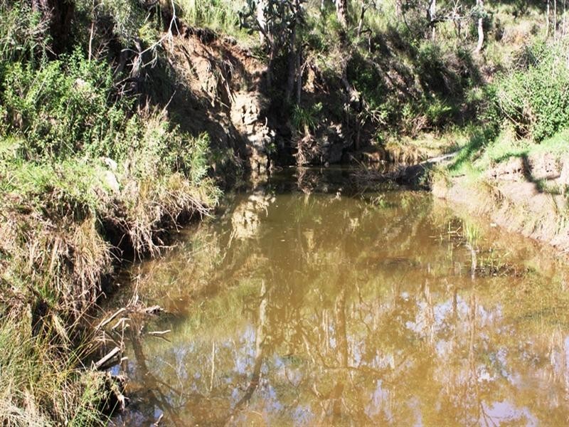 Lot 57 Stock Route Road, Emu Creek QLD 4355