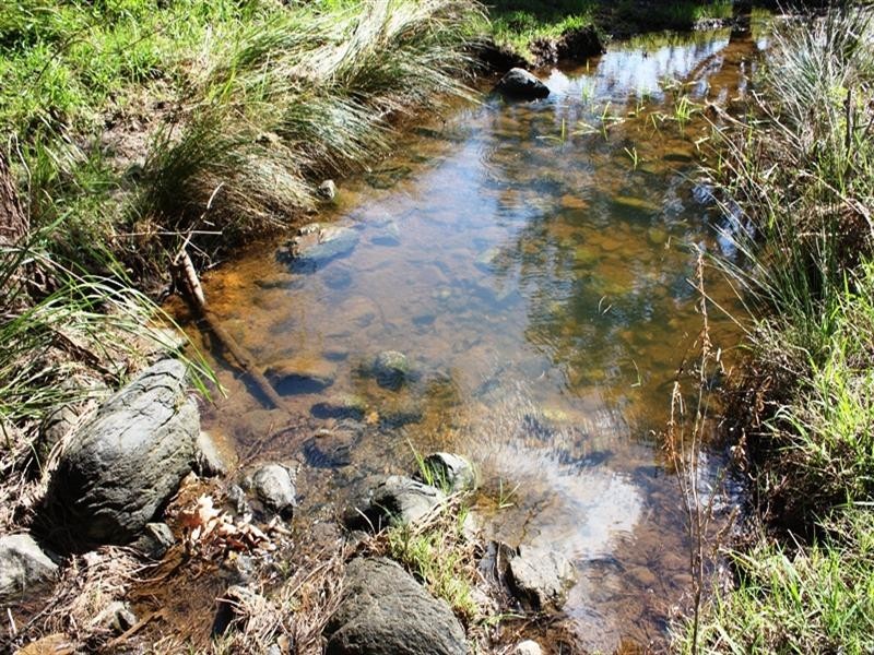 Lot 57 Stock Route Road, Emu Creek QLD 4355