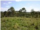 Lot 57 Stock Route Road, Emu Creek QLD 4355