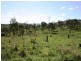 Lot 57 Stock Route Road, Emu Creek QLD 4355