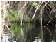 124 Monks, Toogoolawah QLD 4313