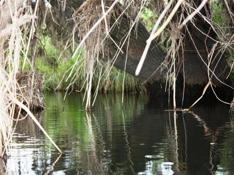 124 Monks, Toogoolawah QLD 4313