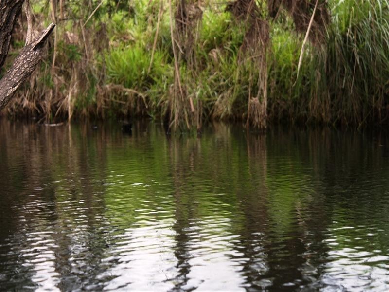 124 Monks, Toogoolawah QLD 4313