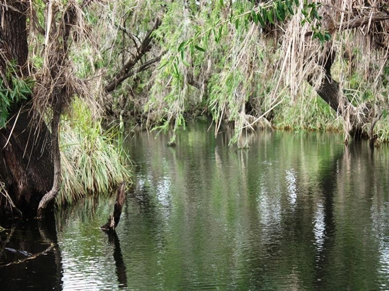 124 Monks, Toogoolawah QLD 4313