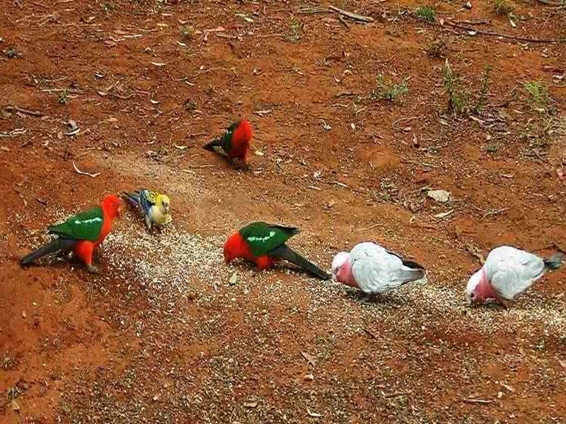 27 Gilliland Crescent, Blackbutt QLD 4306