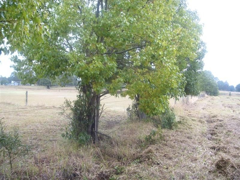 0 Hart, Blackbutt QLD 4306