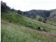 0 Hawthorne Road, Linville QLD 4306