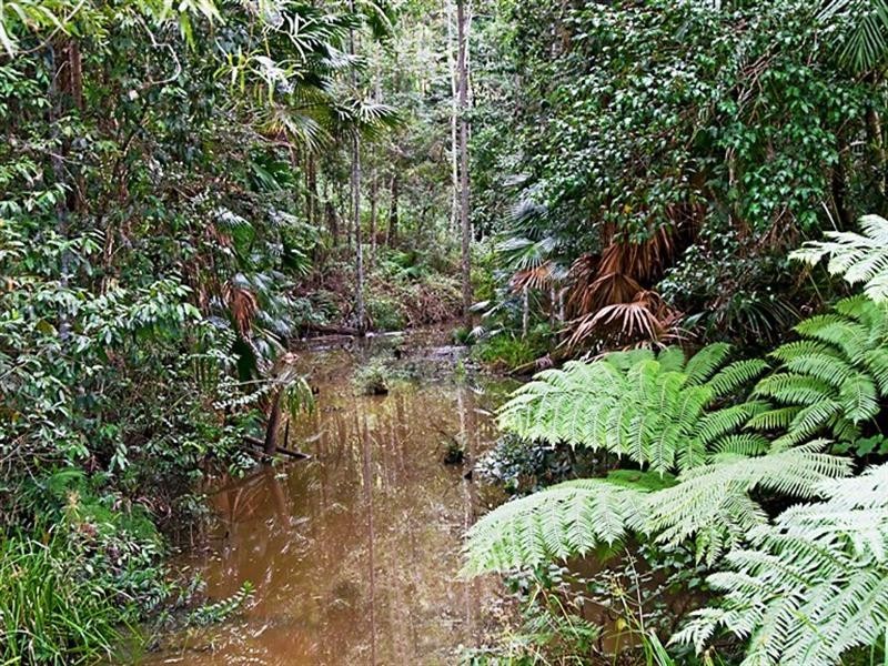 99-101 Wilsons Road, Ilkley QLD 4554