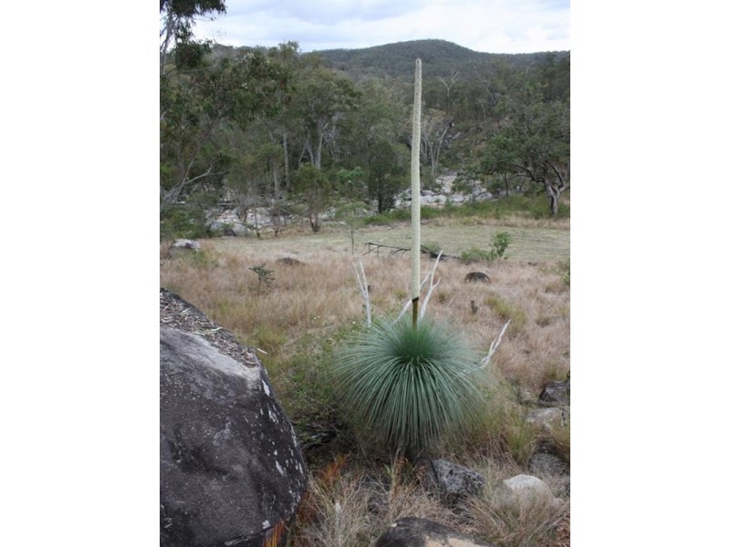 111 Waterhole Gully Road, Blackbutt QLD 4306