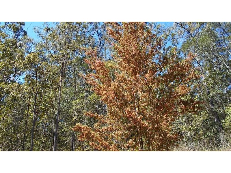 Lot 28 Brett Road, Blackbutt QLD 4306