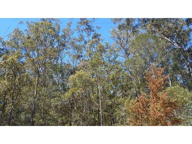 Lot 28 Brett Road, Blackbutt QLD 4306