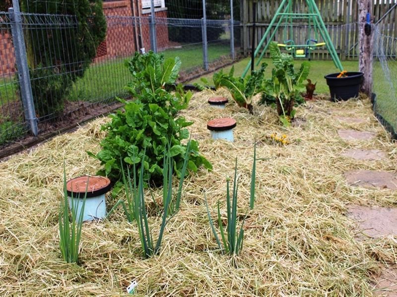 60 Dingyarra Street, Toogoolawah QLD 4313