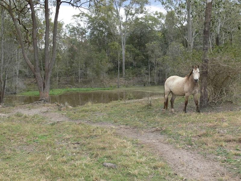 Buaraba QLD 4311