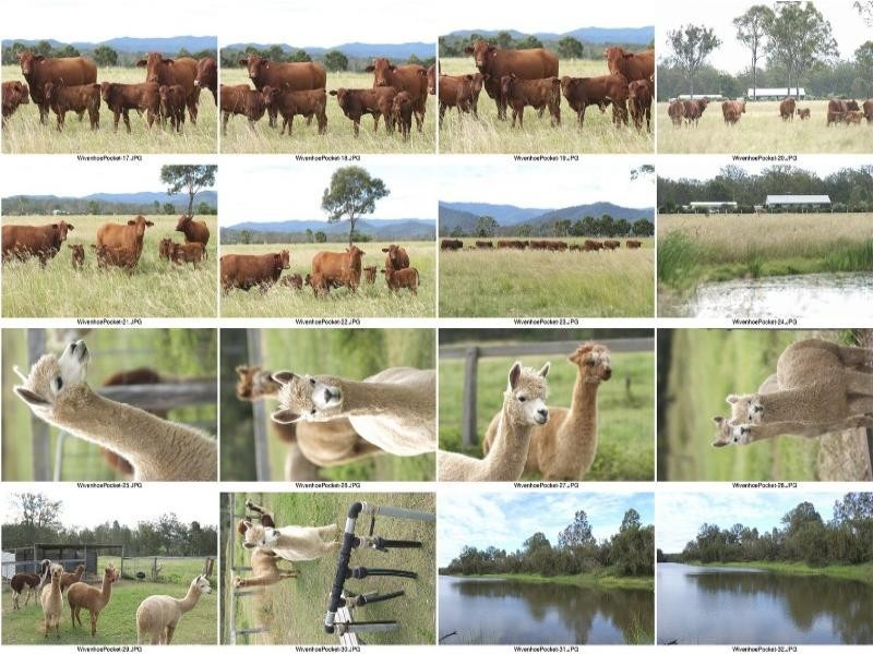 Wivenhoe Pocket QLD 4306