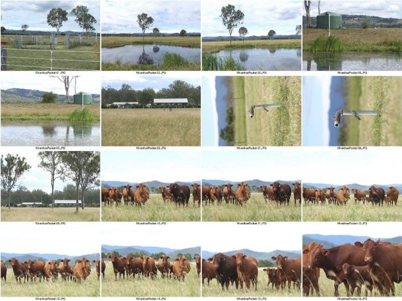 Wivenhoe Pocket QLD 4306