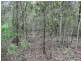 Buaraba QLD 4311