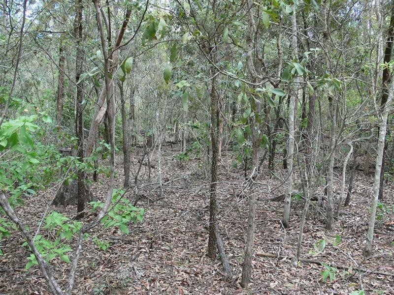 Buaraba QLD 4311