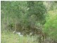 1068 Kipper Creek Road, Biarra QLD 4313