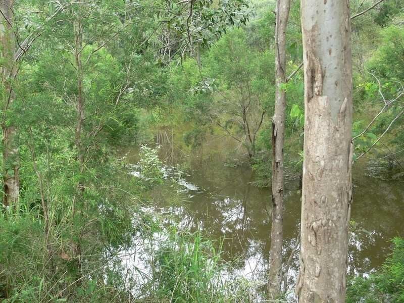 1068 Kipper Creek Road, Biarra QLD 4313