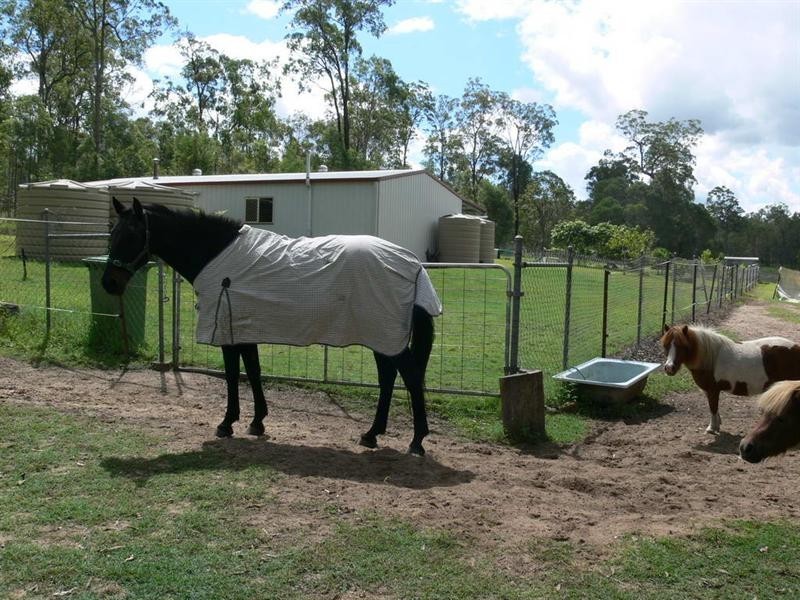 132 Windsor Drive, Mount Hallen QLD 4312