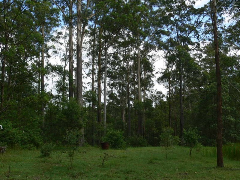Redbank Creek QLD 4312