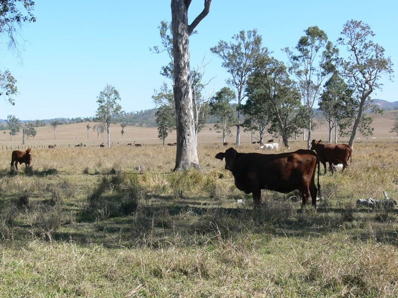 Lot 5 Brisbane Valley Highway, Braemore QLD 4313