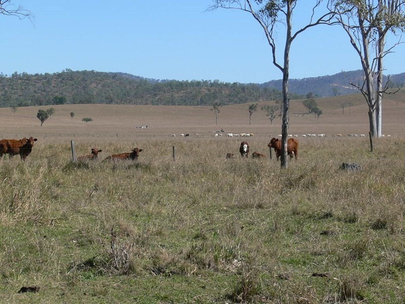 Lot 5 Brisbane Valley Highway, Braemore QLD 4313