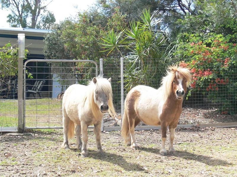 285 Edinburgh Drive, Mount Hallen QLD 4312