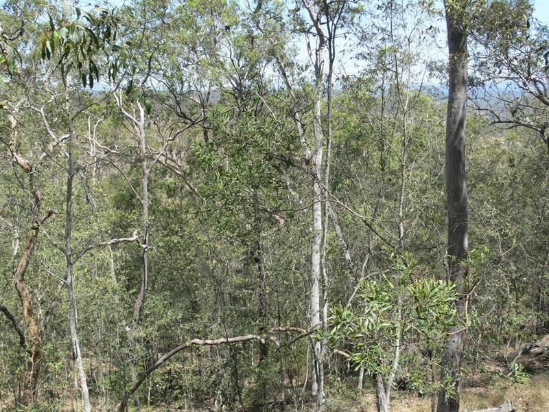 187 Pine Crescent, Esk QLD 4312