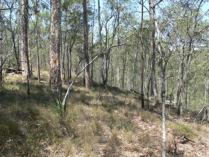 187 Pine Crescent, Esk QLD 4312