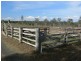 298 Krugers Road, Spring Creek QLD 4343