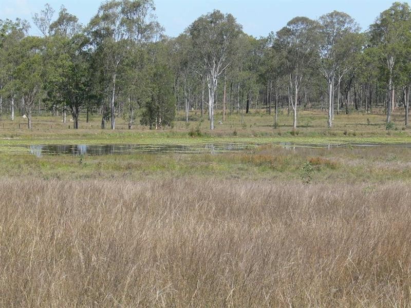 298 Krugers Road, Spring Creek QLD 4343