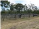 298 Krugers Road, Spring Creek QLD 4343