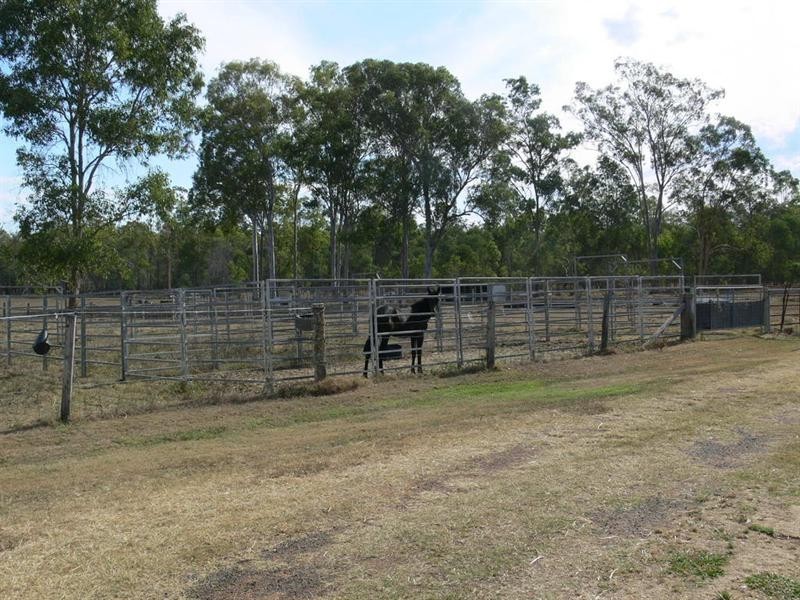 298 Krugers Road, Spring Creek QLD 4343