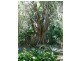 Esk QLD 4312
