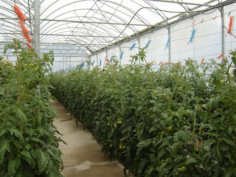 2684 Gatton Esk Road, Mount Hallen QLD 4312