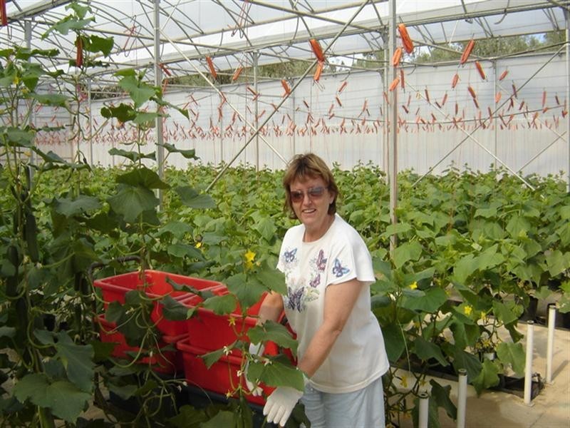 2684 Gatton Esk Road, Mount Hallen QLD 4312