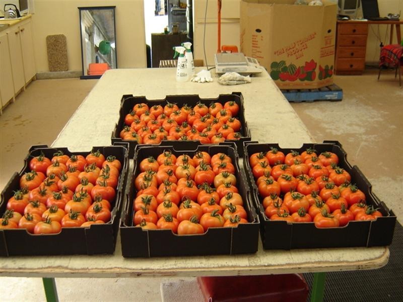 2684 Gatton Esk Road, Mount Hallen QLD 4312