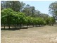 246 Krugers Road, Spring Creek QLD 4343