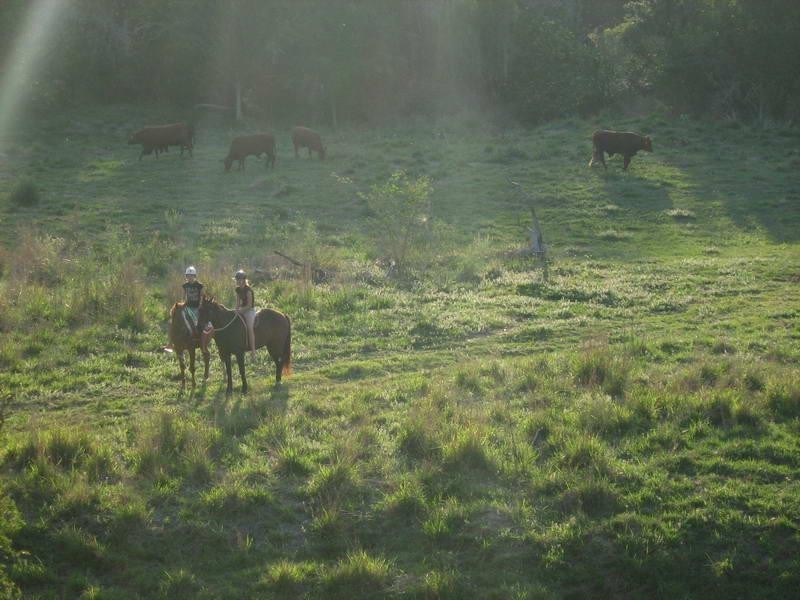 Wivenhoe Pocket QLD 4306