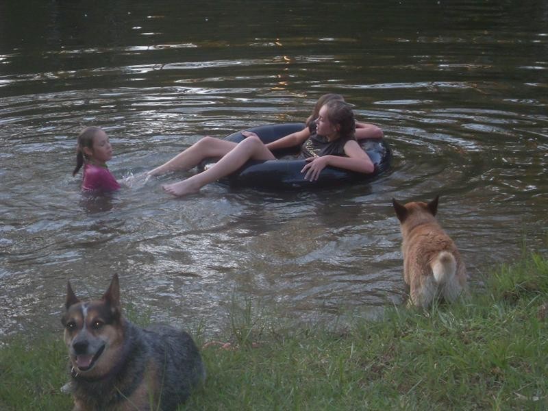 Wivenhoe Pocket QLD 4306