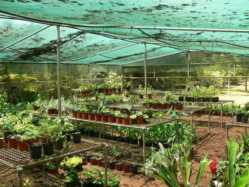 77 Brett Road, Blackbutt QLD 4306